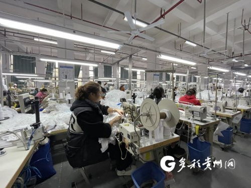 工廠建在家門口 產業就業雙豐收，職業中介活動助力發展